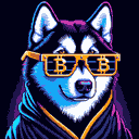 BTC Shades alaskan malamute