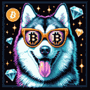 BTC Shades alaskan malamute