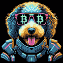 BTC Shades aussiedoodle