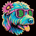 BTC Shades aussiedoodle