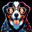 BTC Shades bernese mountain dog