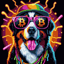 BTC Shades bernese mountain dog