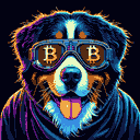 BTC Shades bernese mountain dog