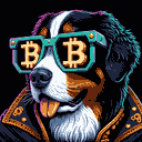 BTC Shades bernese mountain dog