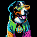 BTC Shades bernese mountain dog