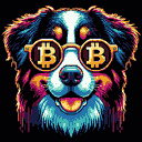 BTC Shades bernese mountain dog