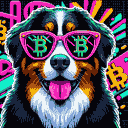 BTC Shades bernese mountain dog