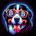 BTC Shades bernese mountain dog