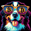 BTC Shades bernese mountain dog