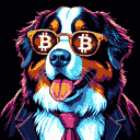 BTC Shades bernese mountain dog