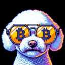 BTC Shades bichon frise