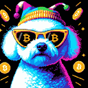 BTC Shades bichon frise