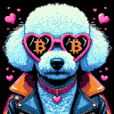 BTC Shades bichon frise