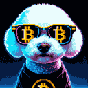 BTC Shades bichon frise