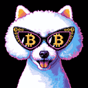 BTC Shades bichon frise