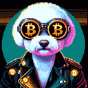 BTC Shades bichon frise