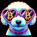 BTC Shades bichon frise