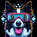 BTC Shades border collie