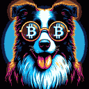 BTC Shades border collie