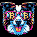 BTC Shades border collie