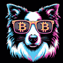 BTC Shades border collie