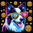 BTC Shades border collie