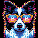 BTC Shades border collie