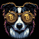 BTC Shades border collie