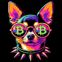 BTC Shades chihuahua