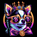 BTC Shades chihuahua