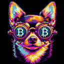 BTC Shades chihuahua