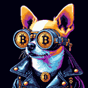 BTC Shades chihuahua