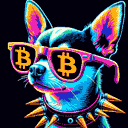 BTC Shades chihuahua