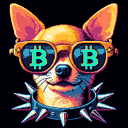 BTC Shades chihuahua