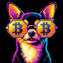 BTC Shades chihuahua