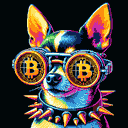 BTC Shades chihuahua