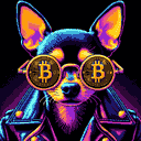 BTC Shades chihuahua