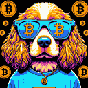 BTC Shades cocker spaniel