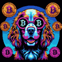 BTC Shades cocker spaniel