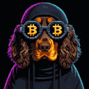 BTC Shades cocker spaniel