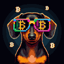 BTC Shades dachshund