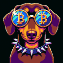 BTC Shades dachshund