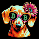 BTC Shades dachshund