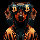 BTC Shades dachshund