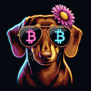 BTC Shades dachshund