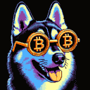 BTC Shades norwegian elkhound