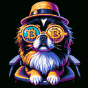 BTC Shades pekingese