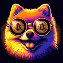 BTC Shades pomeranian