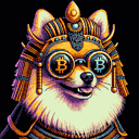 BTC Shades pomeranian