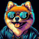 BTC Shades pomeranian